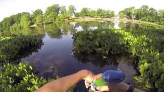 12 lb Limit Bass Fishing at Haddon Lake in NJ