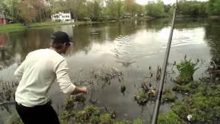 Bass and Pickeral Fishing at 3 Lakes in NJ