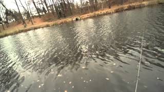 Winter Trout Fishing with Spinners