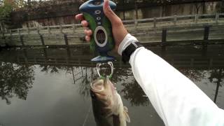 Fall Bassing at the Manayunk Canal