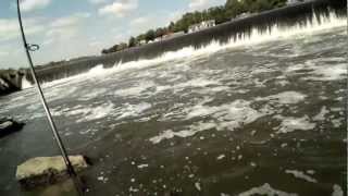 striped bass and shad fishing at the fairmount dam, philadephia