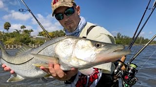 Multi-Species Wade Fishing on the Indian River - 4K