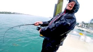 Fishing in Brutal Rain on the Docks, Catch N Cook