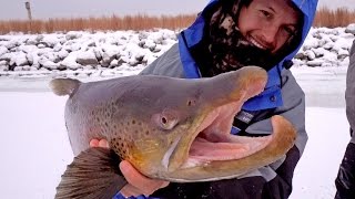 Ice Fishing for Giant Brown Trout - ft. Eric Haataja - 4K