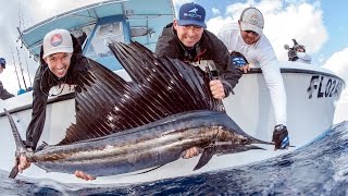 Kite Fishing for Sailfish and other Species - 4K