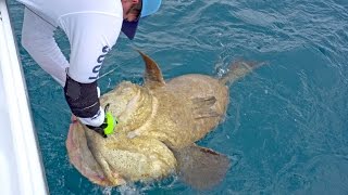 Fishing for Goliath Groupers with the Fish Bums