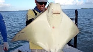Monster Cownose Ray, Snook, Trout and More - ft. Outlaw, LakeForkGuy and Redneck Circus