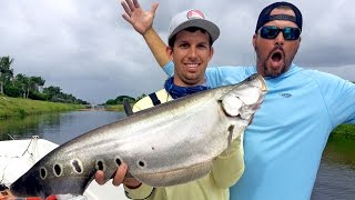Fishing for Clown Knife Fish in Florida - ft. 1Rod1ReelFishing & Scott Martin