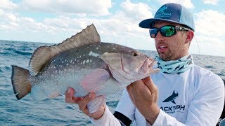 Bottom Fishing for Snappers, Groupers and Kite Fishing for Sailfish - 4K