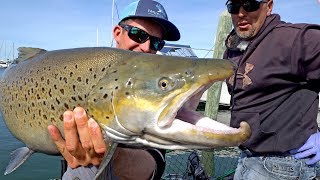 Fishing for Monster Brown Trout by Downton Milwaukee on Lake Michigan - ft. Eric Haataja - 4K