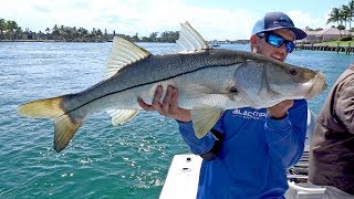 The Snook Fishing Crusade - ft. LakeForkguy and LunkersTV