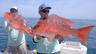 Kingfish, Cobia and Snappers - Offshore Fishing in Florida - 4K