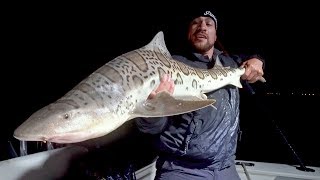 Fishing for Leopard Sharks with UFC Fighter Tito Ortiz in California - 4K