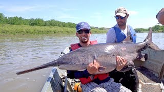 Searching for Giant Paddlefish in Montana