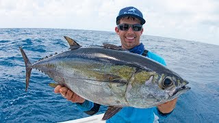 Fishing for Dinner Fish in Miami - 4K