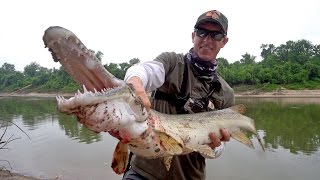 Searching for Giant Alligator Gar in Texas - ft. LakeForkGuy