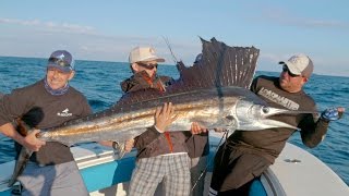 Hungry Barracudas and a Surprise Giant Sailfish - 4K