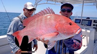 Searching for Giant Cobia and Monster Snapper Fishing, Catch N Cook - 4K
