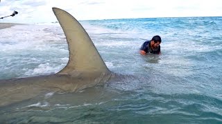 Monster Sharks caught Fishing from the Beach - 4K