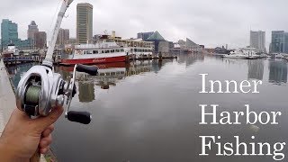 Hilarious DRUG ADDICT Stalks Me while I Fish!!! (Urban Bank Fishing at the Inner Harbor)