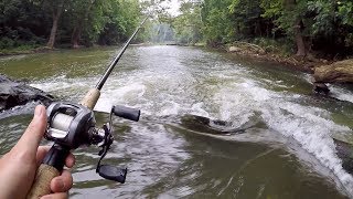 AMAZING Creek Fishing for Smallmouth Bass!!!