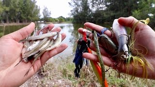 LIVE BAIT vs. ARTIFICIAL LURE Fishing Challenge -- Which Catches BIGGER Fish???