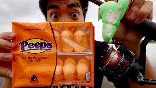 CRAZY EASTER FISHING CHALLENGE -- Can I Catch Fish on Peeps?!?!