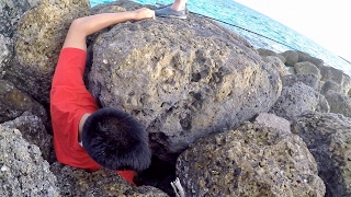 Rescuing a Tropical Fish from a ROCKY Grave!!! (Beach Fishing in the Bahamas)