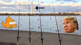 Fishing for "ILLEGAL" Fish Outside of President Trump's Home -- Washington D.C.