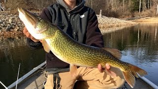 CRAZY WINTER FISHING!!! ALMOST State Record Pickerel, Broken Rod, & Chunky Bass