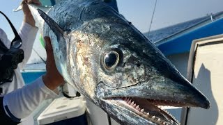 DON'T STOP REELING!!! Scrawny Bass Angler vs. an Ocean MONSTER (ft. BlacktipH)