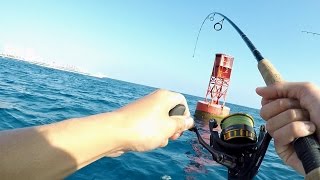 The TRICKIEST Saltwater Fish I've Ever Caught!! (ft. BlacktipH)