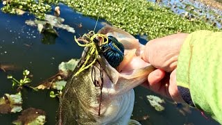 Bass Fishing after a MASSIVE "Cold" Front!!!