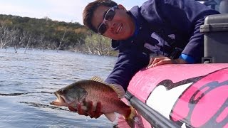 Catching CHUNKY Bass & Fishing from a Pink Hello Kitty Boat... (ft. LunkersTV & LakeForkGuy)