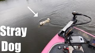 We SAVED this Dog's Life!!! Strangest Bass Fishing Tournament Ever? (ft. LunkersTV, Jon B. & AP)