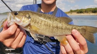 LEGENDARY Guadalupe Bass?! Fishing in Texas and Catching NEW Species
