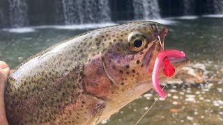45 Minute TROUT Fishing Challenge!!!