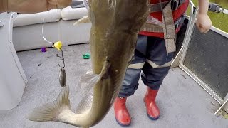 How to Catch BIG Catfish  - Baits, Rigging, Cast Net Tutorial, and Location (ft. Catfish and Carp)