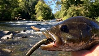 Exploring CREEKS and Fishing for Smallies!