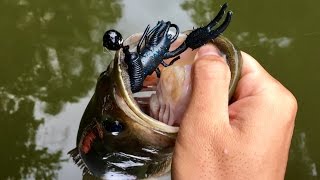 Bass Fishing with MTB's Catch Co. Box (Jigs & Craws)