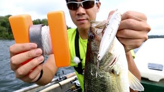 Venturing Offshore for Topwater Bass - The Quest to Become a Bass Master!
