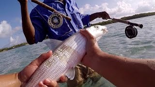 Fly Fishing Adventure - Catching my First Ever Bonefish in the Bahamas!!!