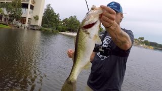 I LOST A 10 LB BASS!!! Florida Pond Fishing (ft. Jon B., Andrew Flair, LunkersTV, & apbassing)