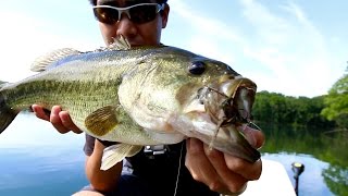 Fishing a Swim Jig - The Quest to Become a Bass Master