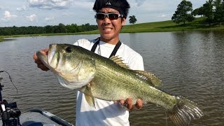 HUMONGOUS Bass on Spinnerbaits!!! Fishing in Texas (ft. LunkersTV)