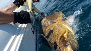 MAN vs. BEAST!!! Goliath Grouper Fishing in Florida