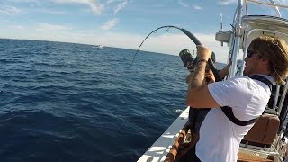 CATCHING AN AMBERJACK IS IMPOSSIBLE!!! (Offshore Saltwater Fishing in Florida)