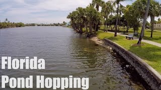 Florida Pond Fishing - Day in the Life (ft. BlacktipH & LunkersTV)