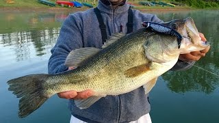Big Bass Fishing at Little Seneca Lake - Topwater, Drop Shotting, and the Deeper Fishfinder!