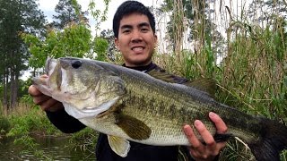 Fishing for TOADS in Alabama - Personal Best Bass!!! (ft. BamaBass)